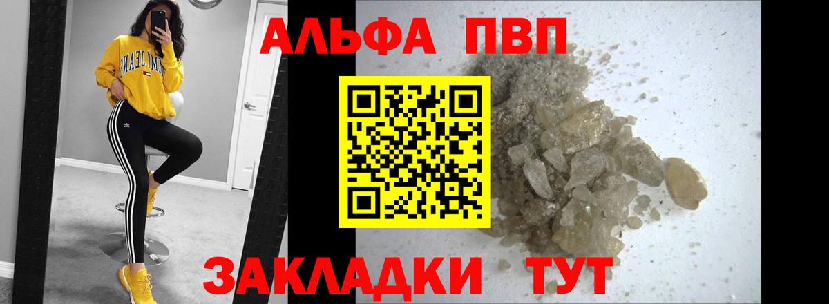 Альфа ПВП СК КРИС Курчалой