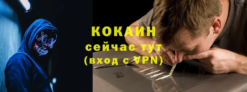 COCAIN Эквадор  где продают наркотики  Курчалой 