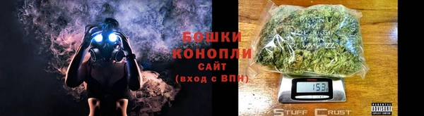 PSILOCYBIN Переславль-Залесский