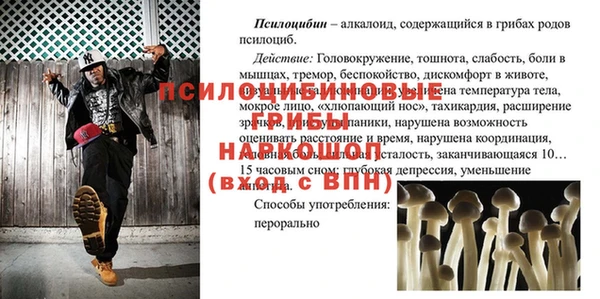 PSILOCYBIN Переславль-Залесский