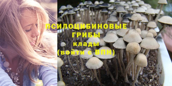 a pvp Пестово