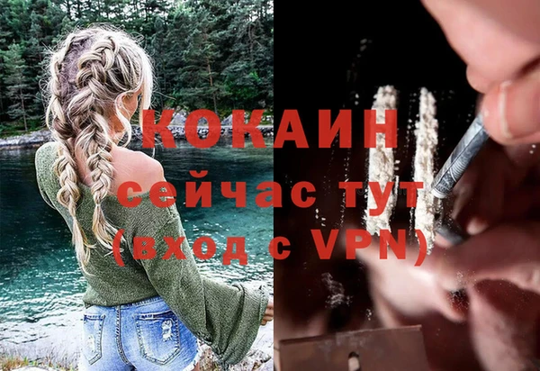 соль курить ск Пересвет