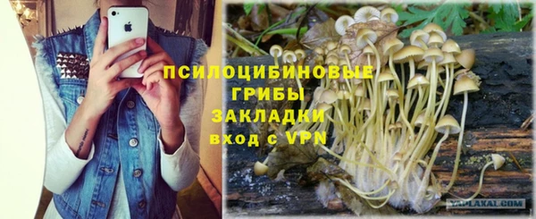 PSILOCYBIN Переславль-Залесский