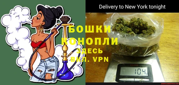 PSILOCYBIN Переславль-Залесский