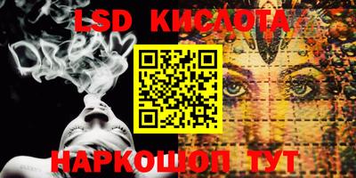 шишки Гатчина