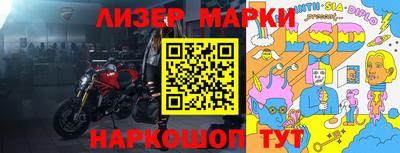 шишки Гатчина