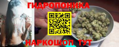 прущие грибы Балахна