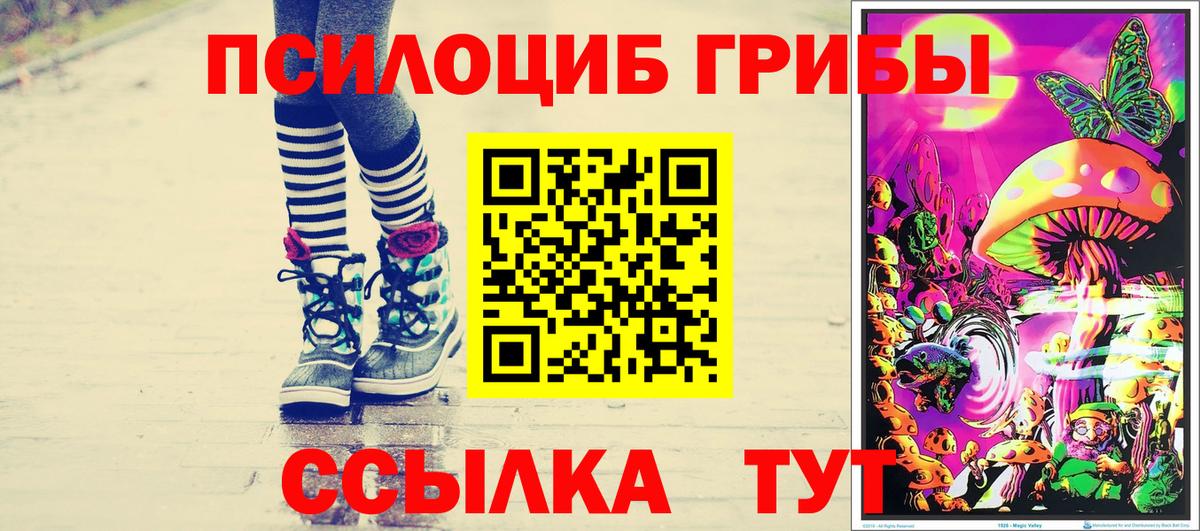 Галлюциногенные грибы Magic Shrooms  Галлюциногенные грибы GOLDEN TEACHER  Курчалой 